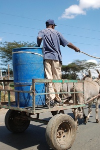 Donkey Cart SWE (Photo Taken by WhiteAfrican)